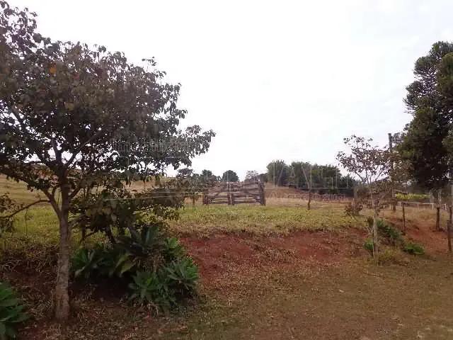 Fazenda venda em Região Imediata de São Carlos, São Carlos