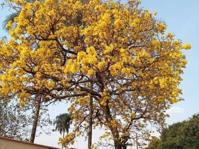 Fazenda venda em Região Imediata de São Carlos, São Carlos