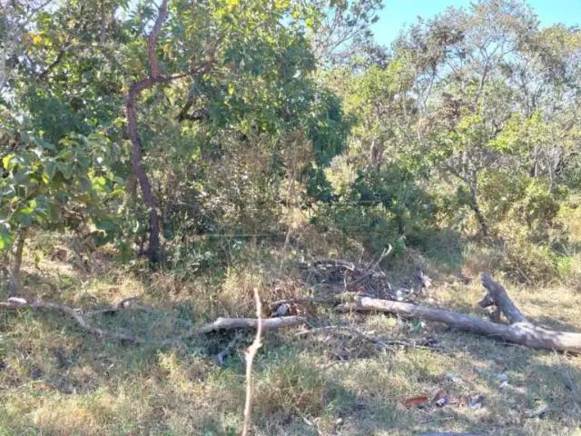 Fazenda venda em Região Imediata de São Carlos, São Carlos