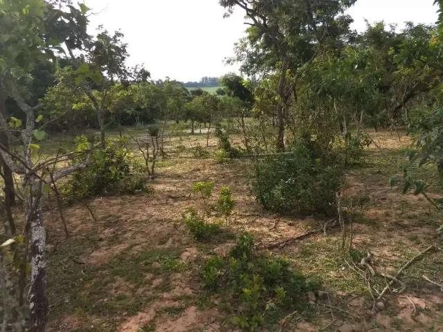 Fazenda venda em Região Imediata de São Carlos, São Carlos