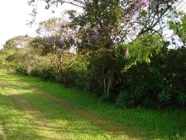 Fazenda venda em Região Imediata de São Carlos, São Carlos