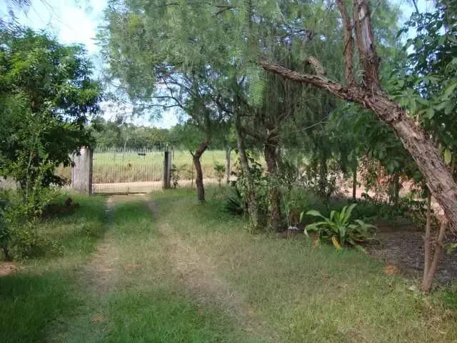 Fazenda venda em Região Imediata de São Carlos, São Carlos