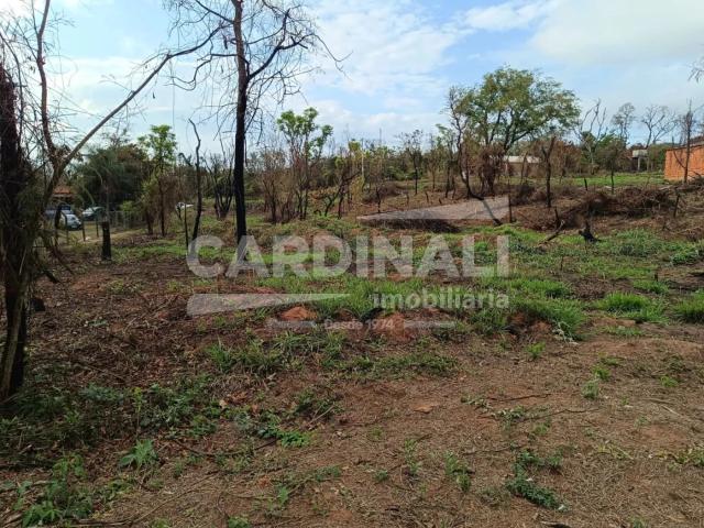 Fazenda venda em São Carlos, Região Geográfica Intermediária de Araraquara