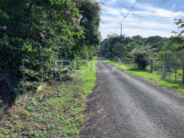 Fazenda venda em Bela Vista São-Carlense, São Carlos