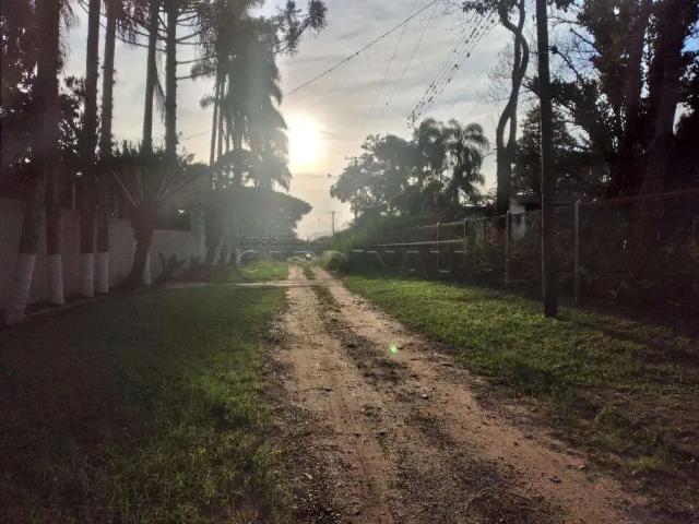 Fazenda venda em Região Imediata de São Carlos, São Carlos