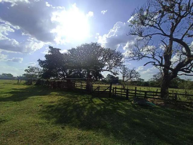 Fazenda venda em Região Imediata de São Paulo, Região Metropolitana de São Paulo