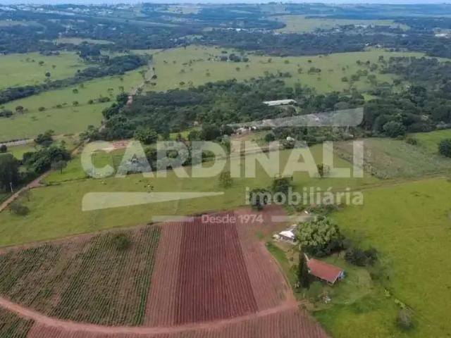 Fazenda venda em Região Imediata de São Carlos, São Carlos