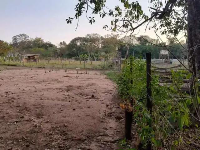 Fazenda venda em Região Imediata de São Carlos, São Carlos