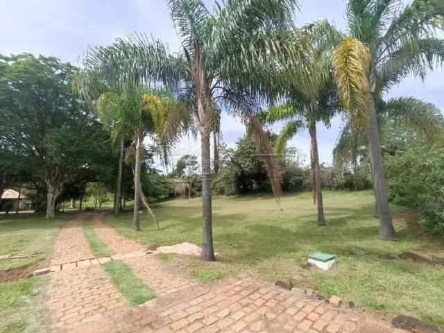 Fazenda venda em Região Imediata de Barretos, Bebedouro