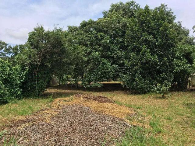 Fazenda venda em Região Imediata de São Carlos, São Carlos