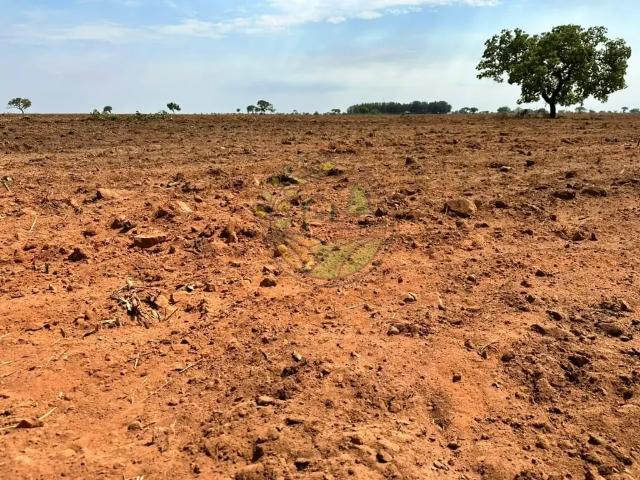 Fazenda venda em Região Geográfica Imediata de Barreiras, São Desidério
