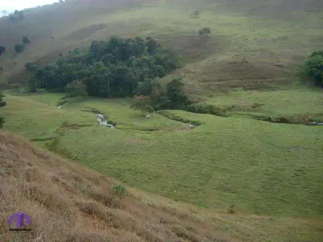 Fazenda venda em Região Geográfica Imediata de João Monlevade, São domingos do Prata