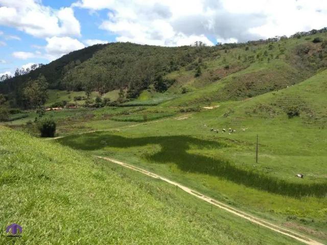 Fazenda venda em Região Geográfica Imediata de João Monlevade, São domingos do Prata