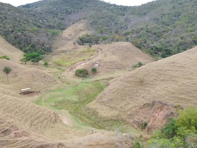 Fazenda venda em Região Geográfica Imediata de João Monlevade, São domingos do Prata