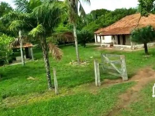 Sítio e chácara venda em Região Geográfica Imediata de Confresa - Vila Rica, São Felix do Araguaia