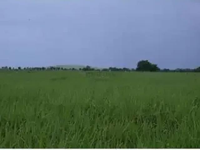 Fazenda venda em Região Geográfica Imediata de Confresa - Vila Rica, São Felix do Araguaia