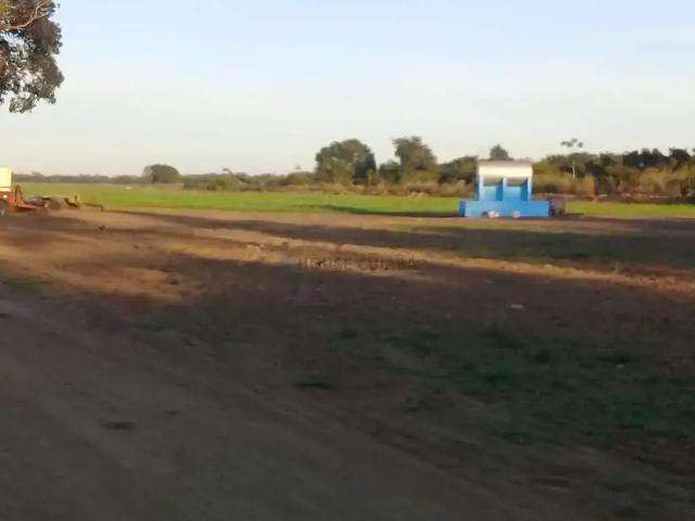 Fazenda venda em Região Geográfica Imediata de Confresa - Vila Rica, São Felix do Araguaia