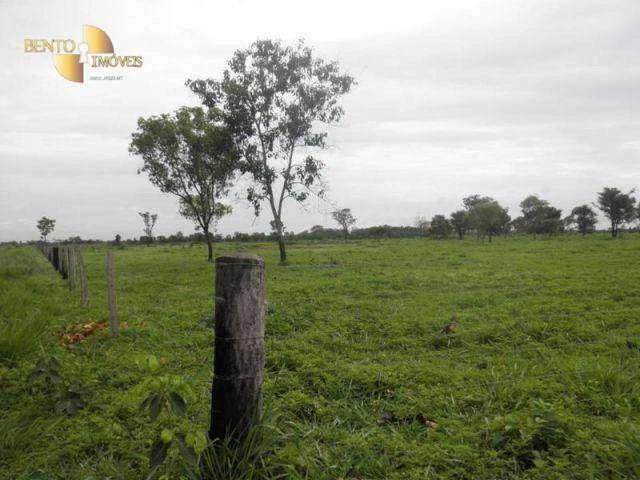 Fazenda venda em São Félix do Araguaia, Região Geográfica Intermediária de Barra do Garças