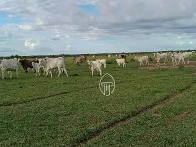 Fazenda venda em Região Geográfica Imediata de Confresa - Vila Rica, São Felix do Araguaia