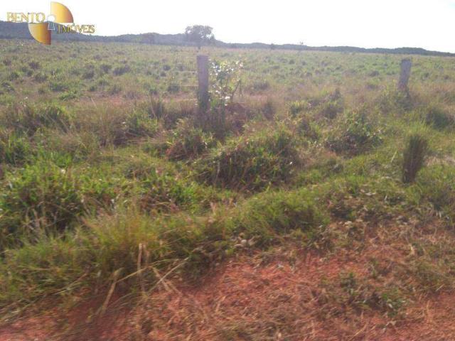Fazenda venda em São Félix do Araguaia, Região Geográfica Intermediária de Barra do Garças