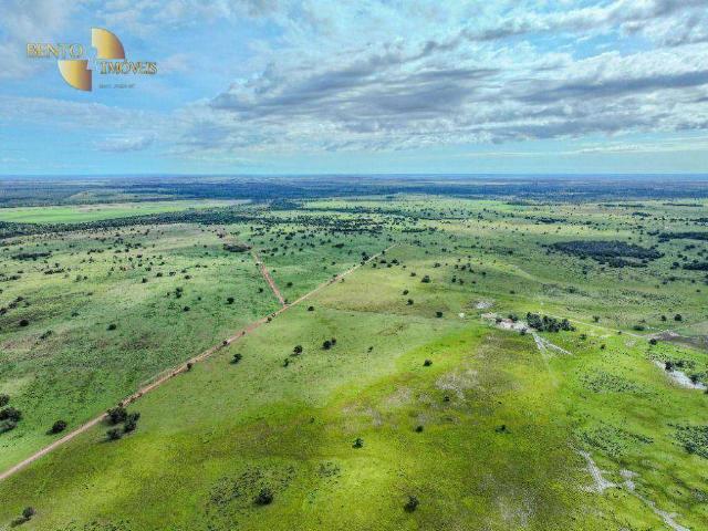 Fazenda venda em São Félix do Araguaia, Região Geográfica Intermediária de Barra do Garças