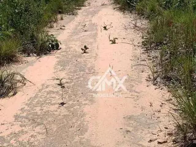 Fazenda venda em Região Geográfica Imediata de Palmas, São Felix do Tocantins