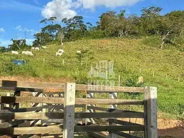 Fazenda venda em Região Geográfica Imediata de Campos dos Goytacazes, São Fidélis
