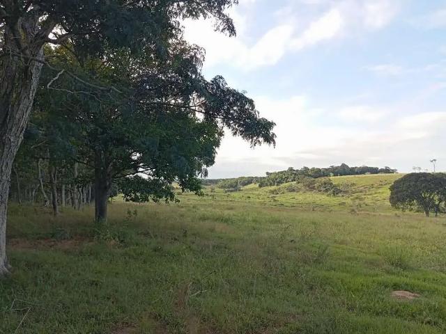 Fazenda venda em Região Geográfica Imediata de Campos dos Goytacazes, São Francisco de Itabapoana