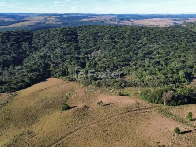 Fazenda venda em Pedra Branca, São Francisco de Paula