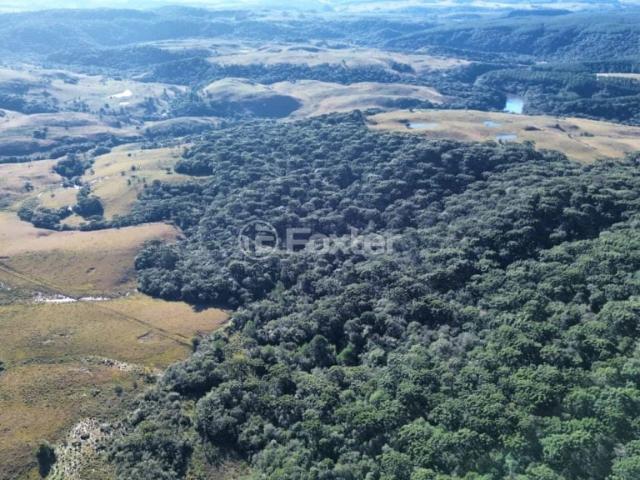 Fazenda venda em Pedra Branca, São Francisco de Paula