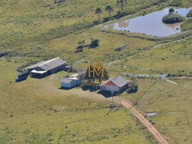 Fazenda venda em Região Geográfica Imediata de Caxias do Sul, São Francisco de Paula