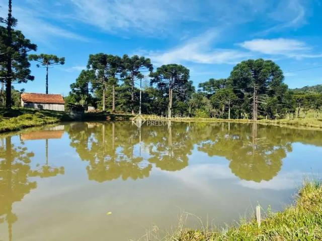 Fazenda venda em Região Geográfica Imediata de Santa Bárbara - Ouro Preto, Ouro Preto