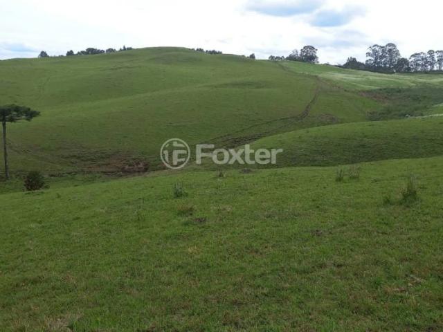Fazenda venda em Loteamento Serra Dourada, São Francisco de Paula