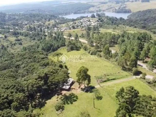 Fazenda venda em Região Geográfica Imediata de Caxias do Sul, São Francisco de Paula
