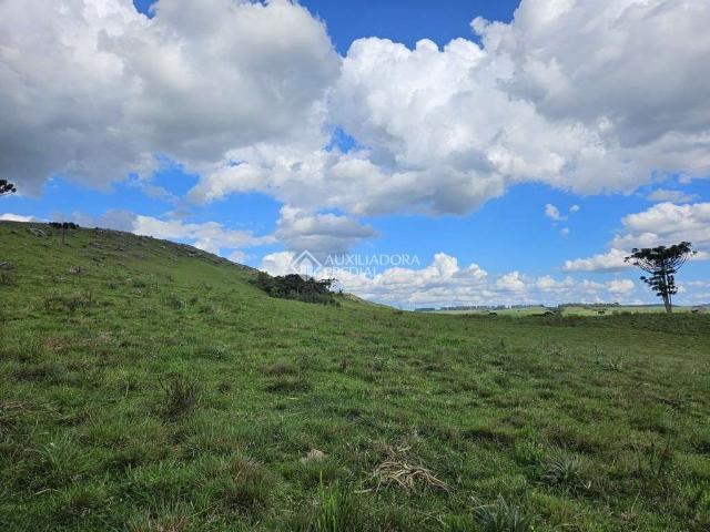 Fazenda venda em Região Geográfica Imediata de Caxias do Sul, São Francisco de Paula