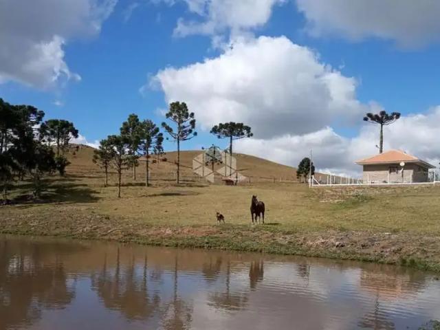 Fazenda venda em Eletra, São Francisco de Paula