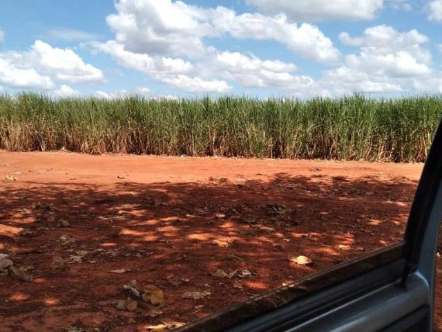Fazenda venda em Região Geográfica Imediata de Pato Branco, Clevelândia