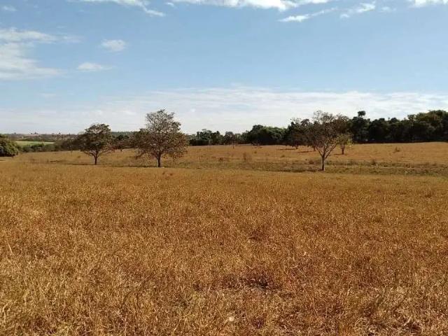 Fazenda venda em Região Geográfica Imediata de Iturama, São Francisco de Sales