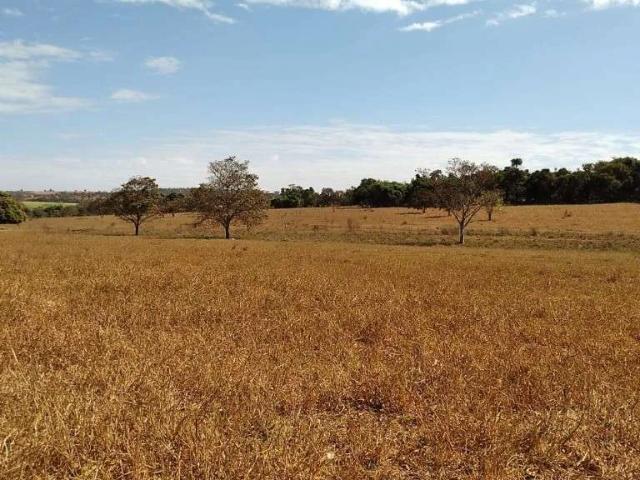 Fazenda venda em Região Geográfica Imediata de Iturama, São Francisco de Sales