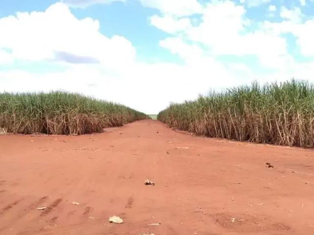 Fazenda venda em Região Geográfica Imediata de Pato Branco, Clevelândia