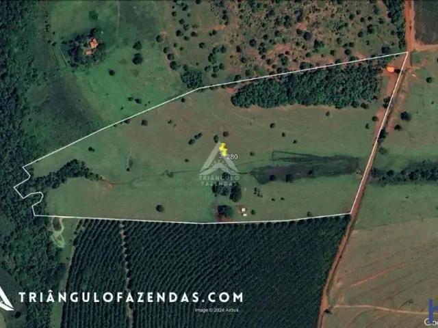 Fazenda venda em Região Geográfica Imediata de Iturama, São Francisco de Sales