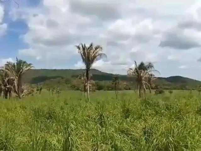 Fazenda venda em São Francisco do Maranhão, Região Nordeste