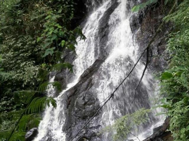Sítio e chácara venda em São José dos Campos