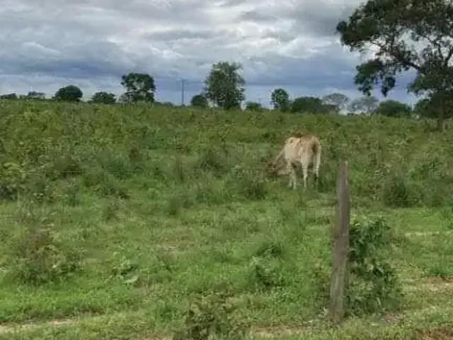 Fazenda venda em Região Geográfica Imediata de São Francisco, São Francisco