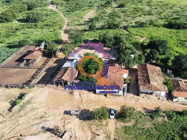 Fazenda venda em Região Geográfica Imediata de São Francisco, São Francisco