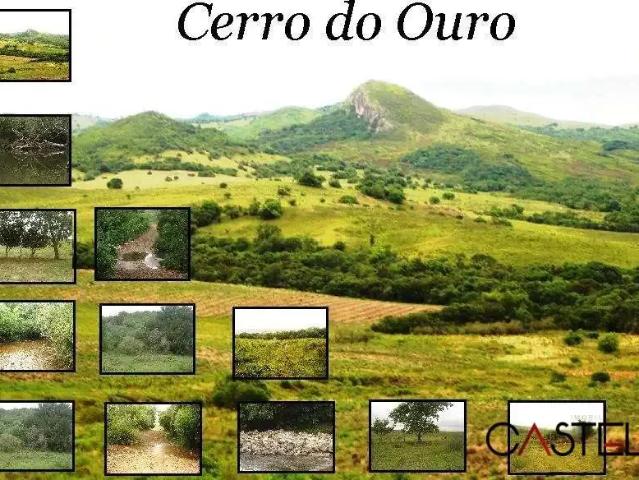 Fazenda venda em Região Geográfica Imediata de São Gabriel - Caçapava do Sul, São Gabriel