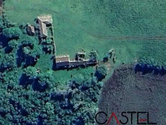 Fazenda venda em Região Geográfica Imediata de São Gabriel - Caçapava do Sul, São Gabriel