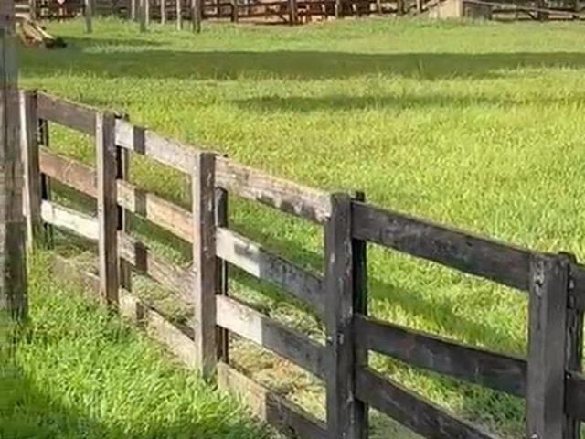 Fazenda venda em São Gonçalo do Abaeté, Região Geográfica Intermediária de Patos de Minas