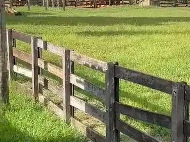 Fazenda venda em Região Geográfica Imediata de Patos de Minas, São Gonçalo do Abaeté