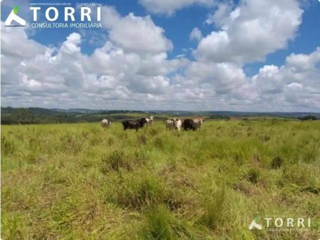Fazenda venda em Região Geográfica Imediata de Patos de Minas, São Gonçalo do Abaeté